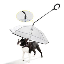 Load image into Gallery viewer, Telescopic Handle Transparent Pet Umbrella with Dog Leash for Rain Walking
