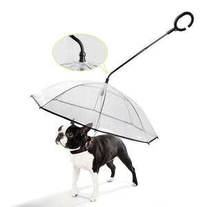 Telescopic Handle Transparent Pet Umbrella with Dog Leash for Rain Walking